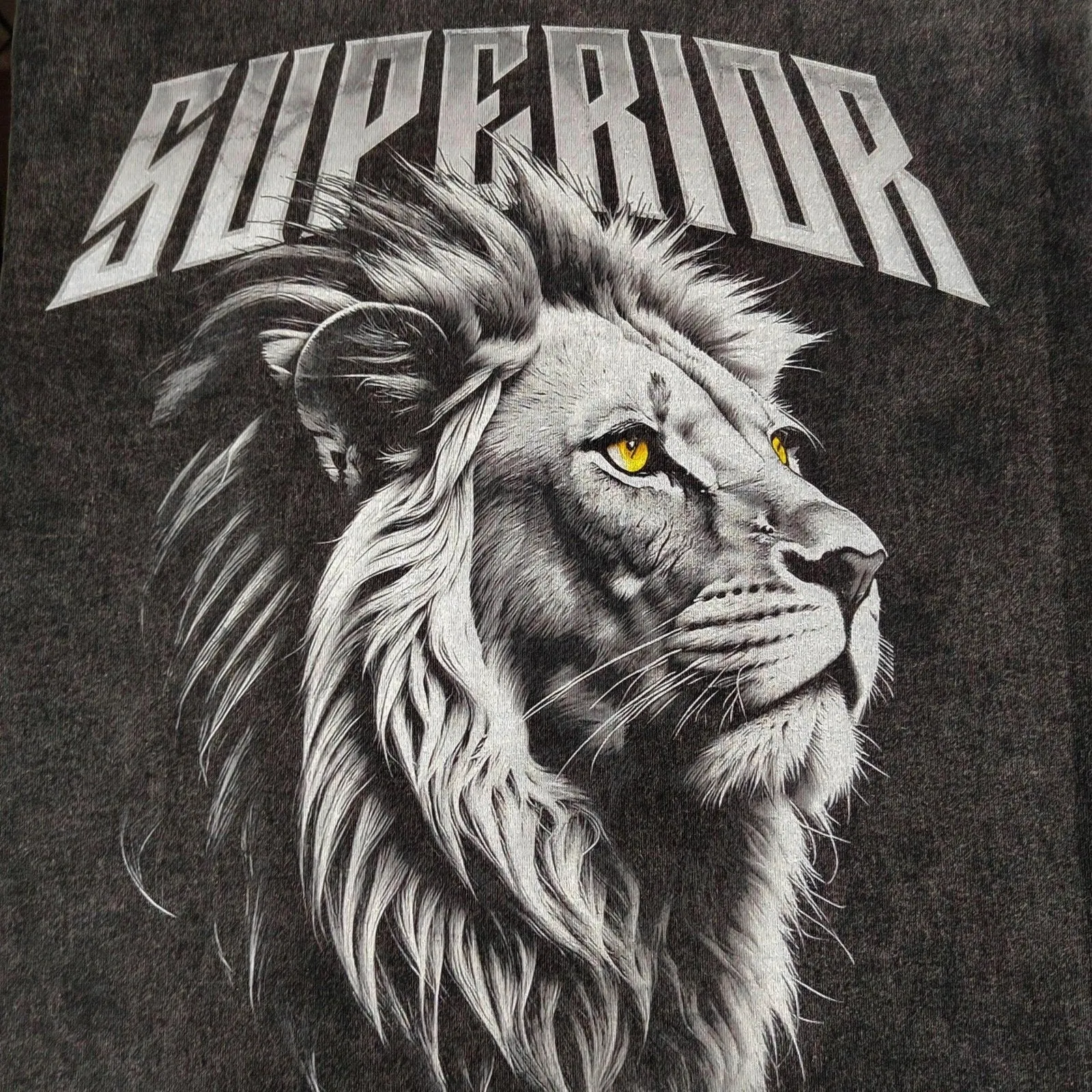 Superior Lion Oversized Graphic T-Shirt