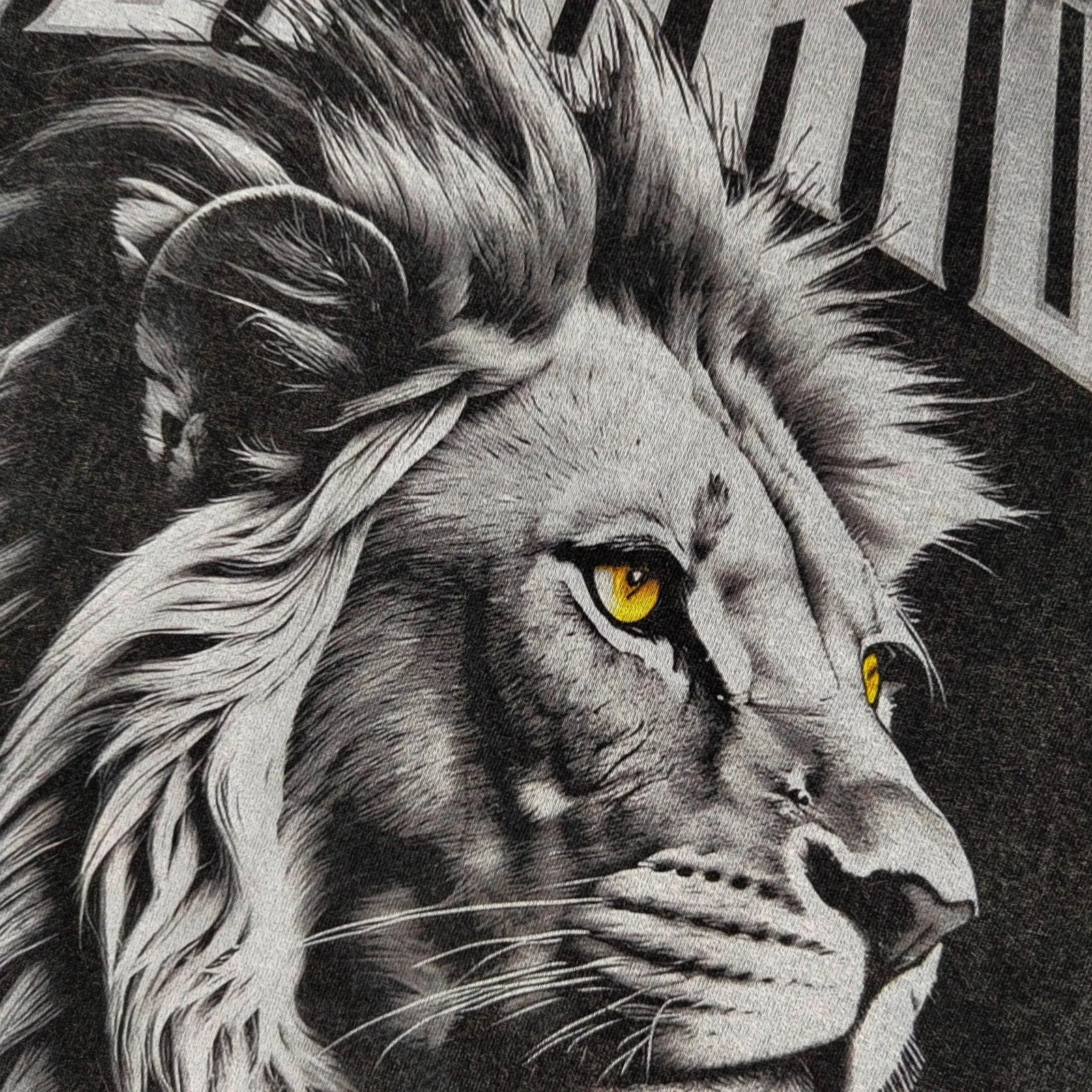 Superior Lion Oversized Graphic T-Shirt